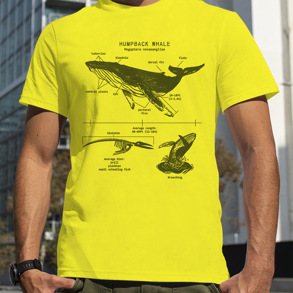 Humpback Whale Anatomy Shark L - مراجعة Street Fashion Loverboy وسعره