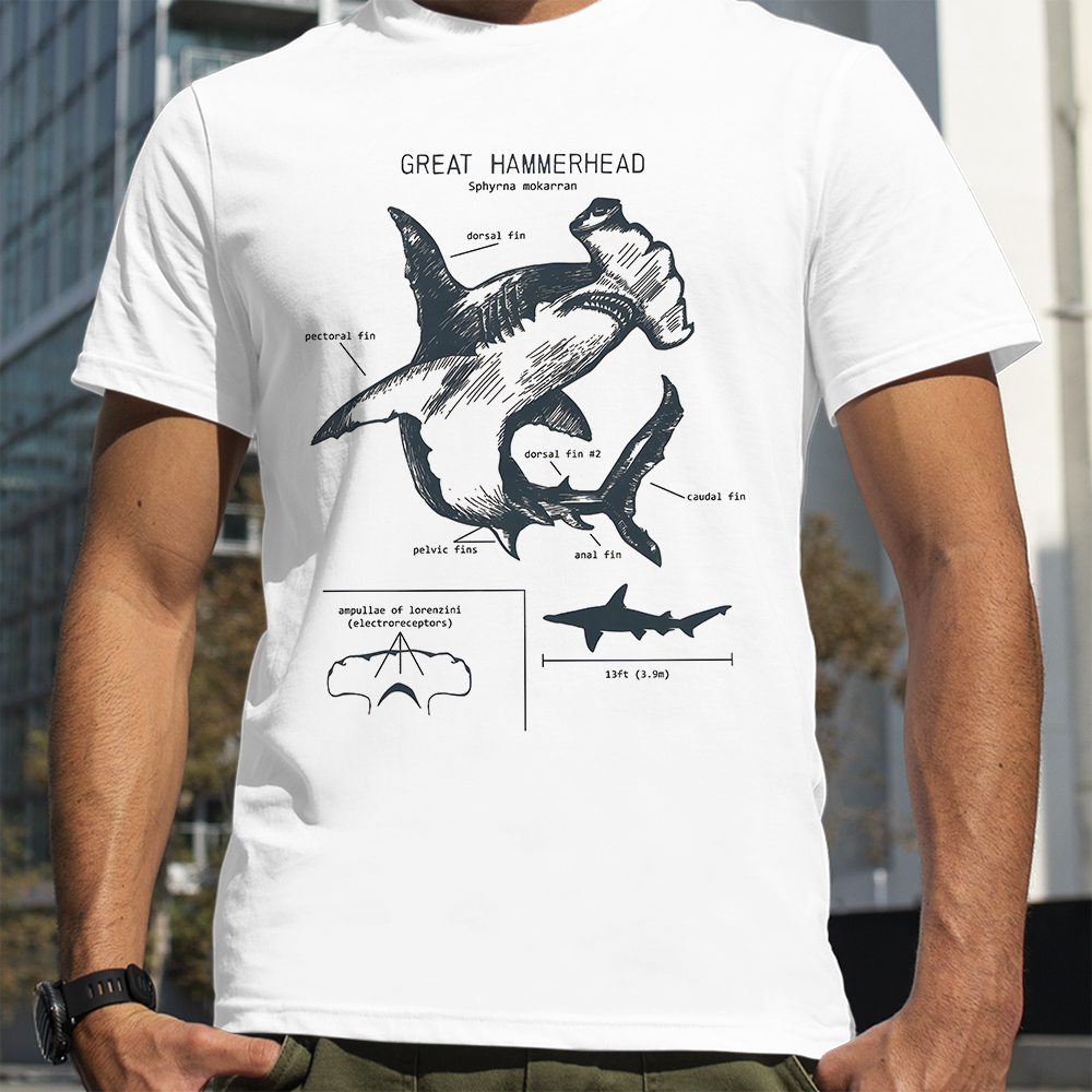 Hammerhead Shark Anatomy Shark - مراجعة Street Fashion Loverboy وسعره